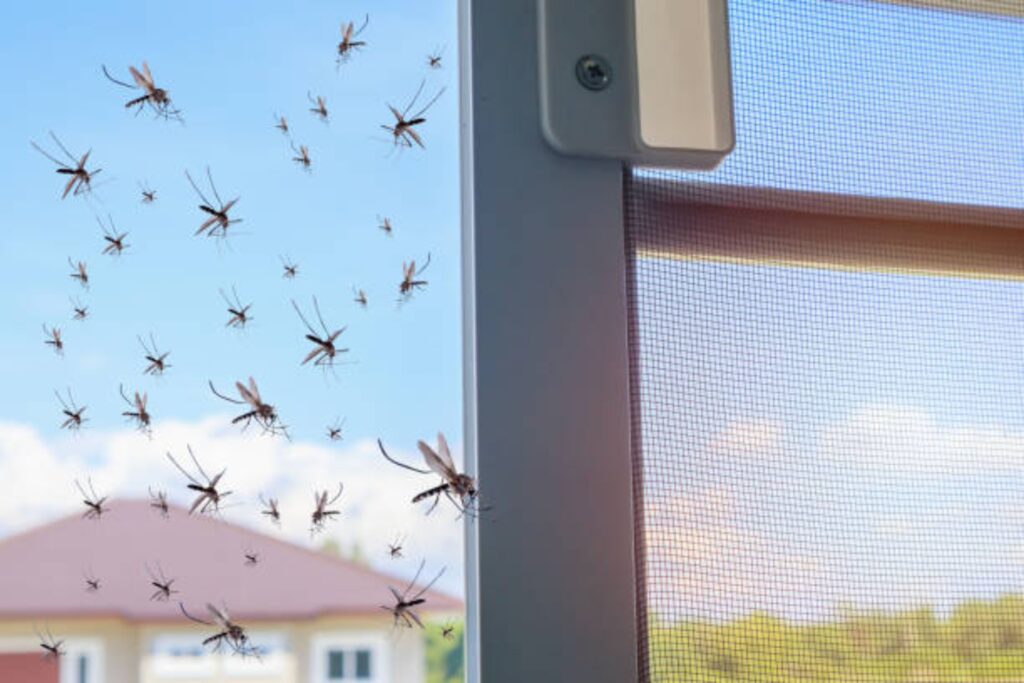 make the most of mosquito screen doors