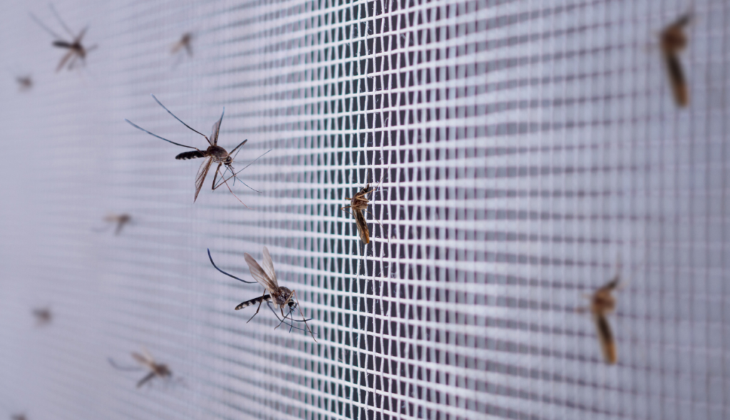 OVERCOMING MOSQUITO-RELATED VENTILATION CONCERNS NATURALLY
