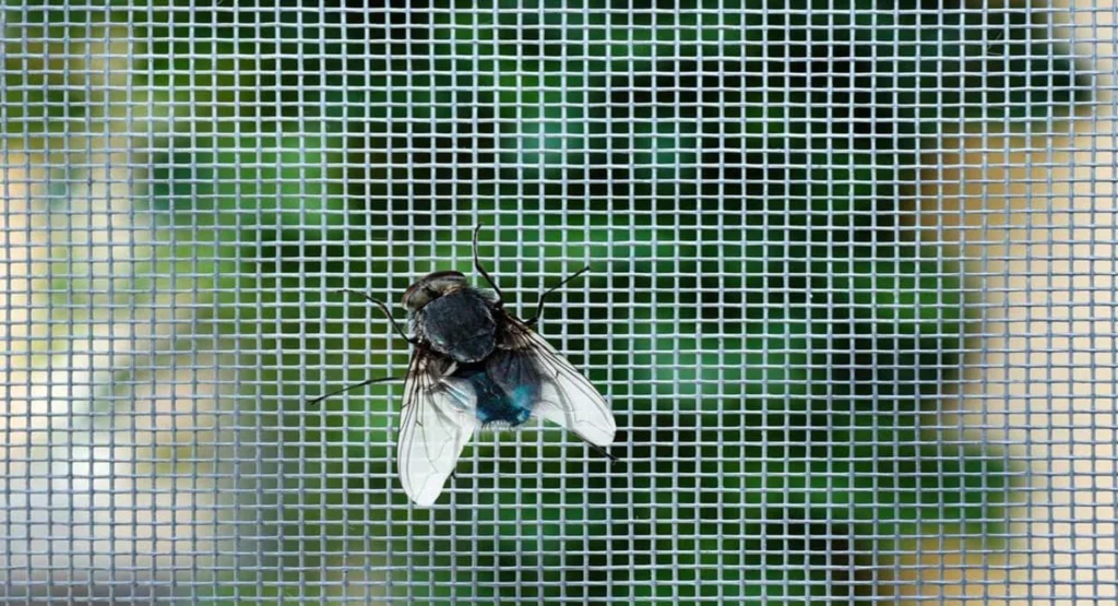 Clip-in-Insect-Screens-Chandigah